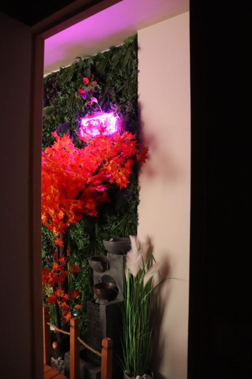 Loveroom Japon Avec Balneotherapie Toulon Dış mekan fotoğraf